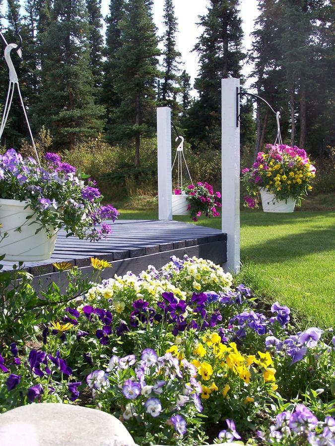 Denali Primrose Bed & Breakfast Healy Exterior photo